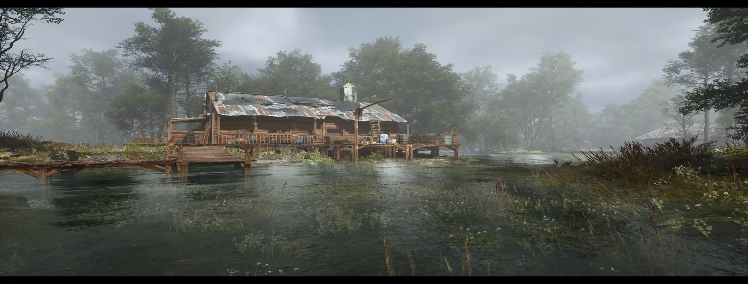 Image for Swamp Secrets